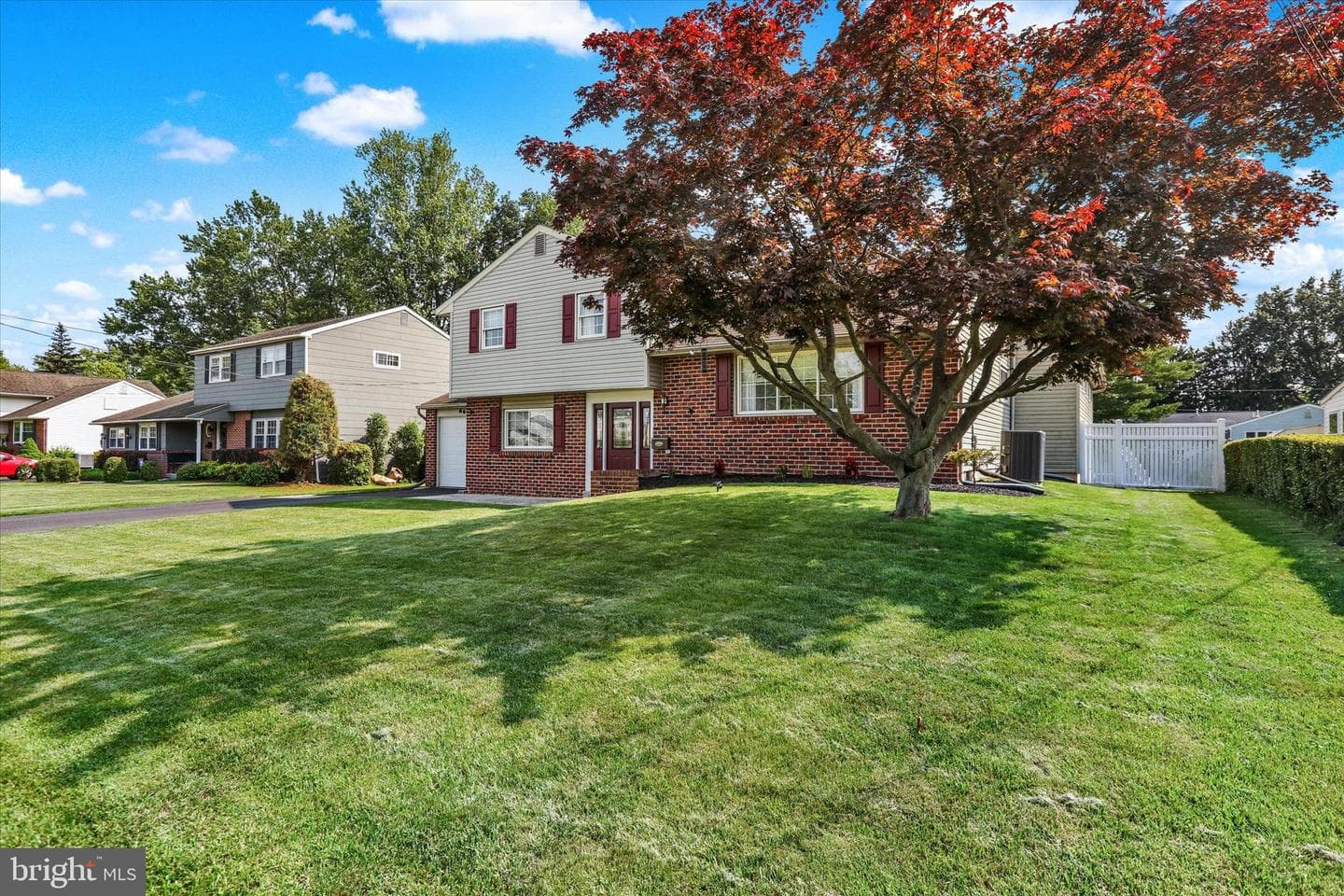 869 Primrose Drive photo 3