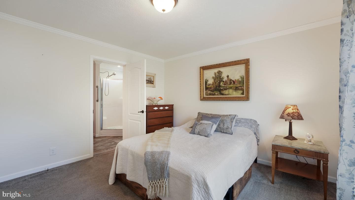 4 Laurel Terrace photo 21