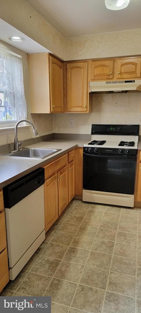833 Purple Martin Court #219 photo 7