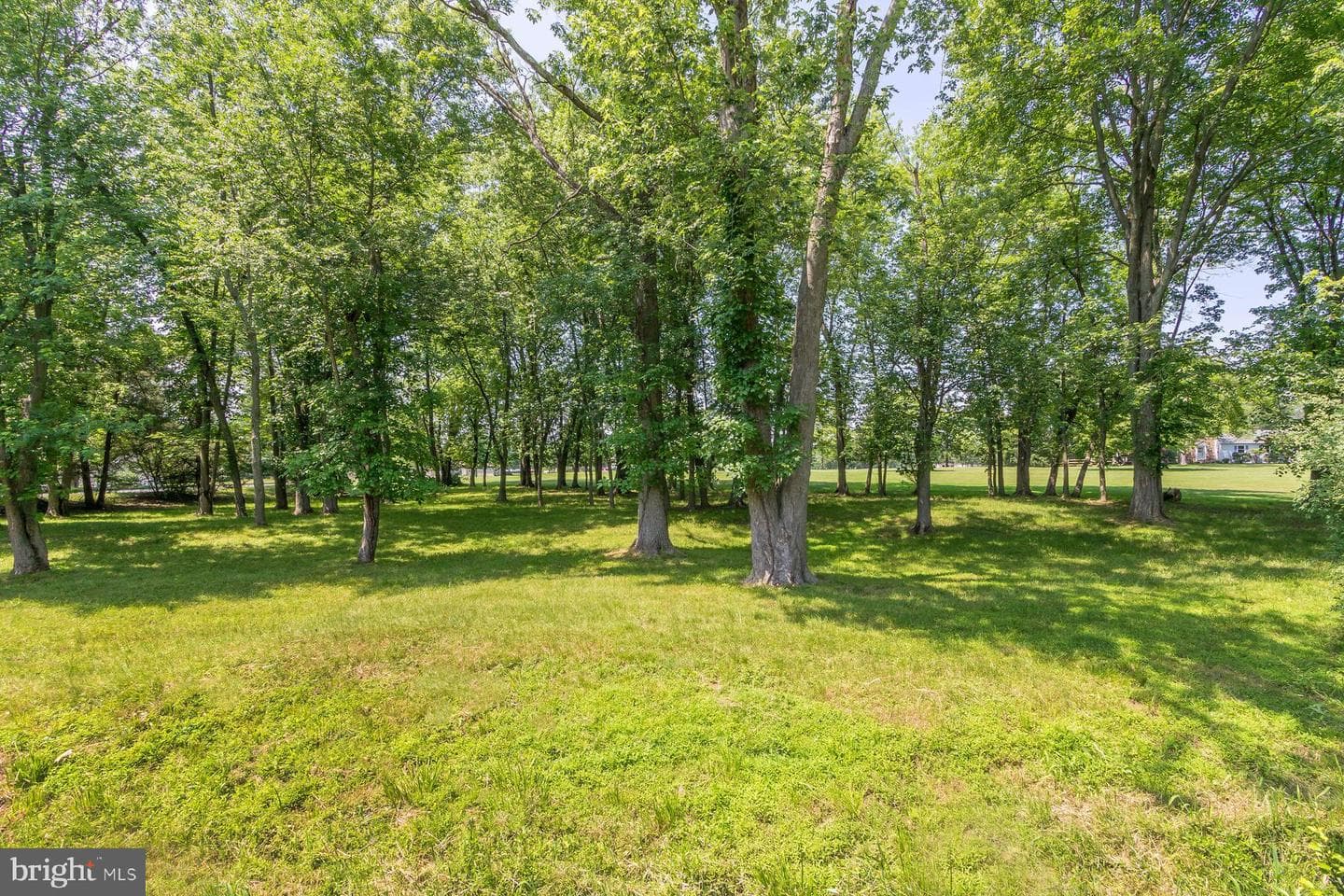 2381 Greensward S photo 40