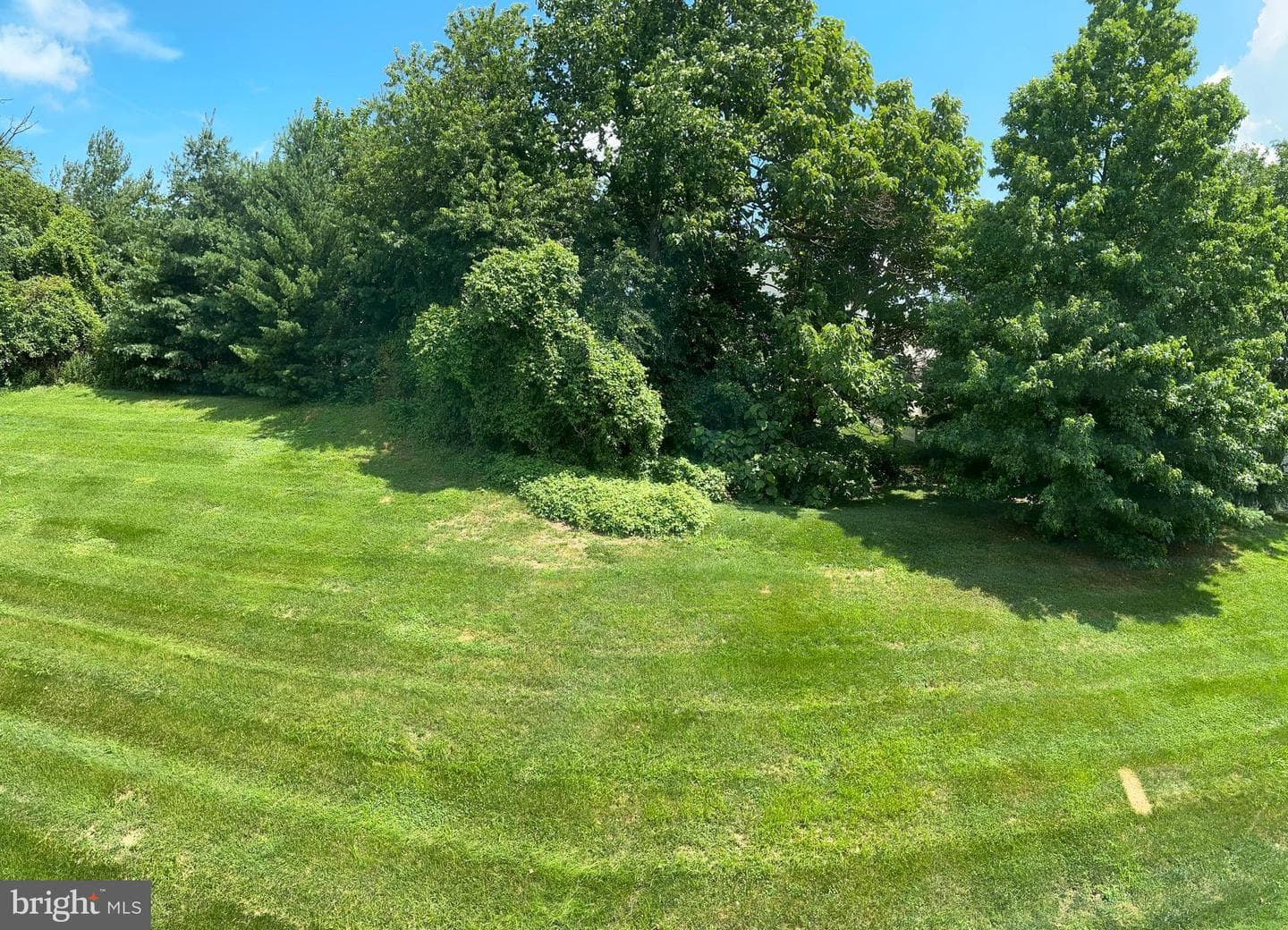 66 Lilly Drive photo 24