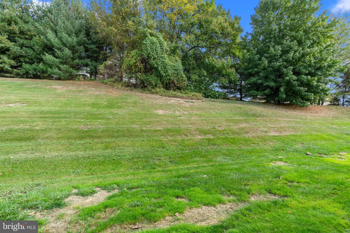 66 Lilly Drive photo 33