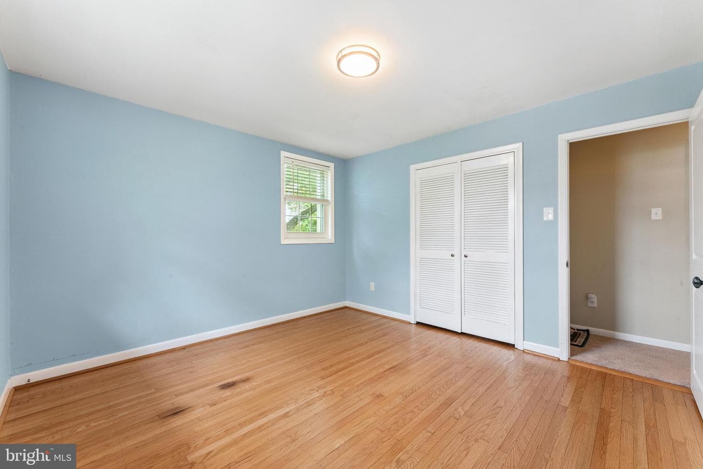 319 Holly Knoll photo 20