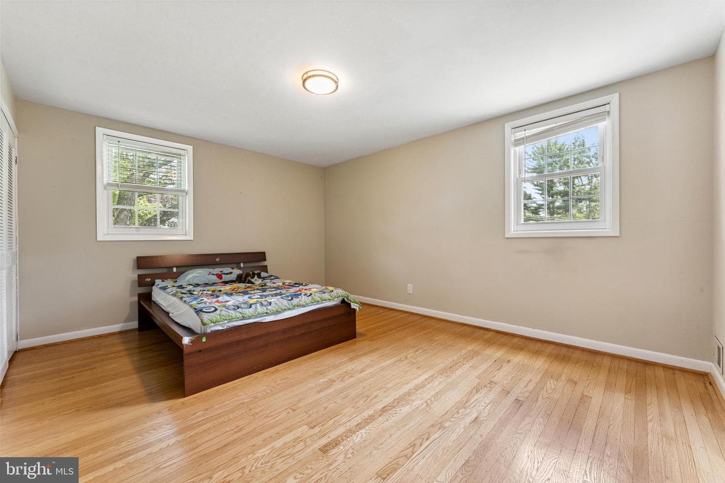 319 Holly Knoll photo 21