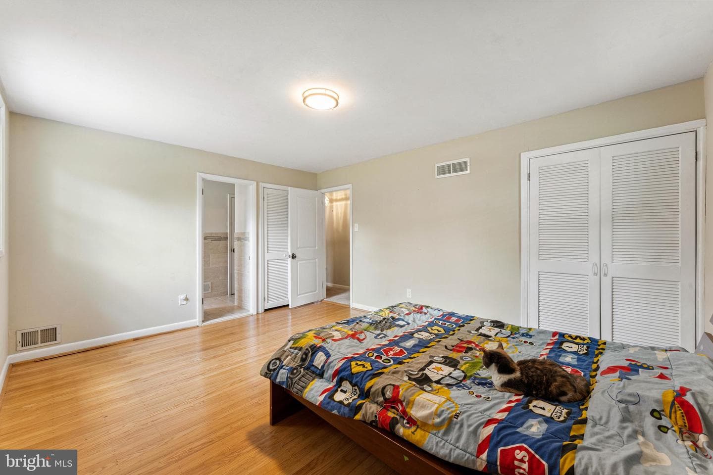 319 Holly Knoll photo 22