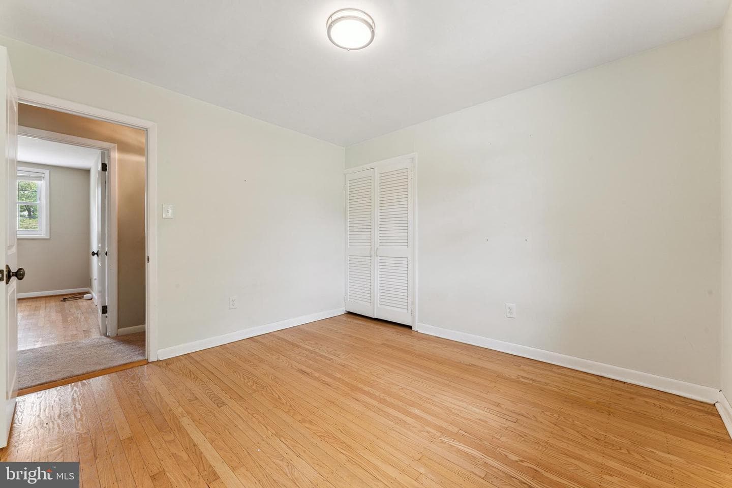 319 Holly Knoll photo 28