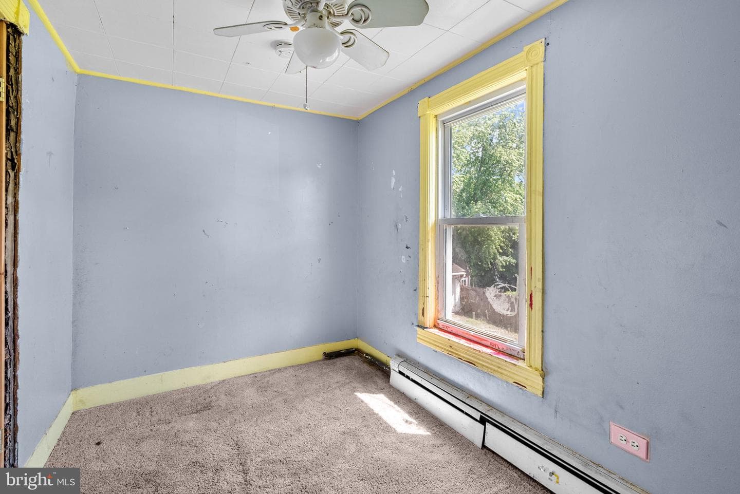 203 Robertson Avenue photo 27