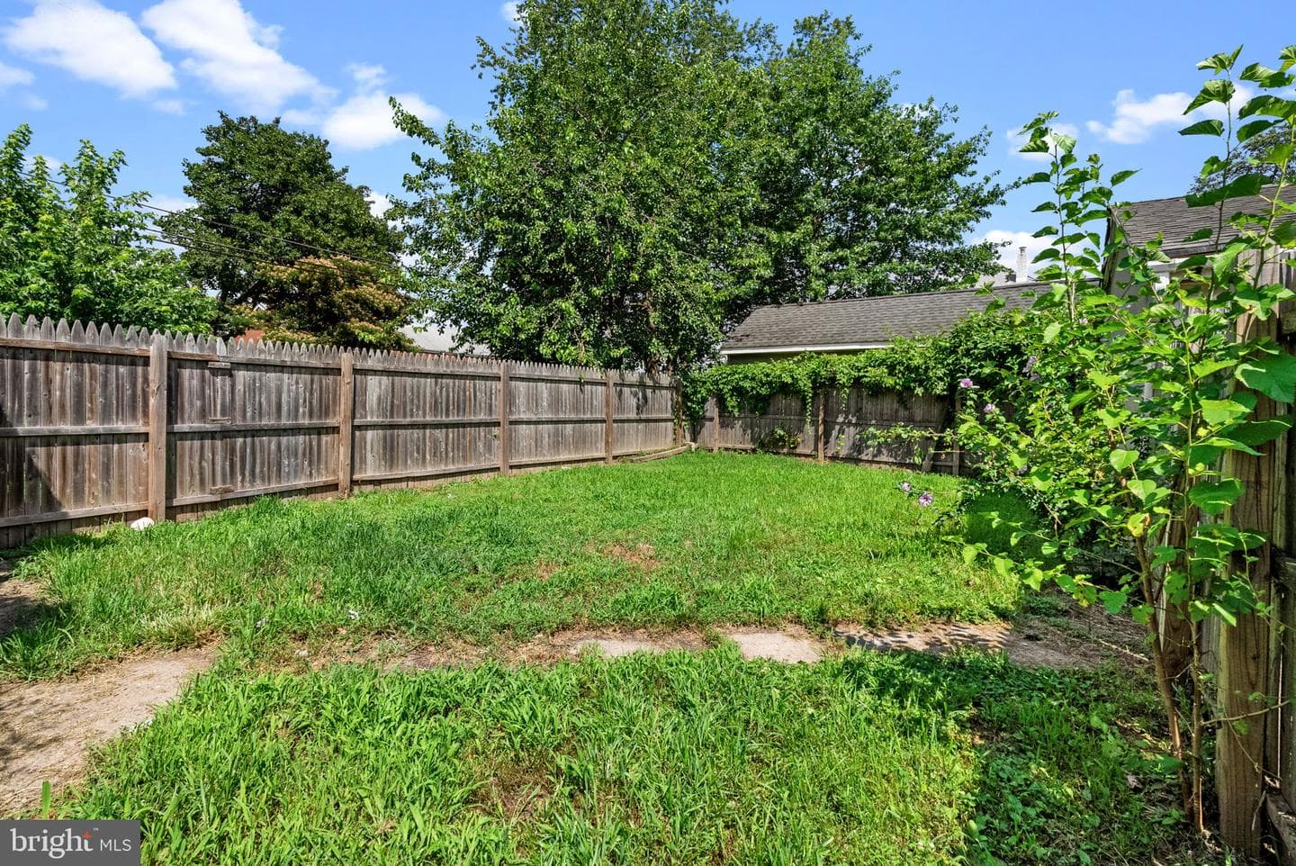 203 Robertson Avenue photo 8