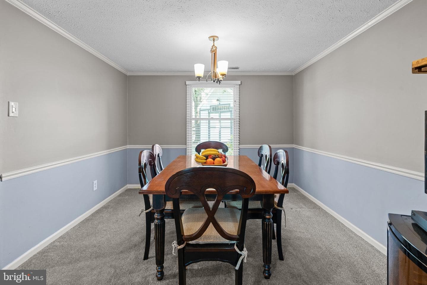 249 Bernick Drive photo 18