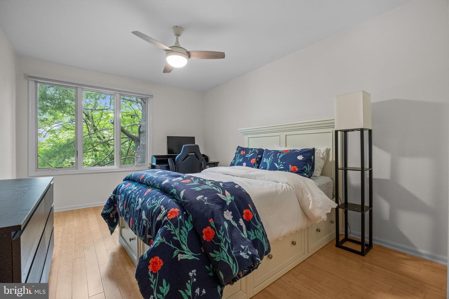 13 Colchester Place photo 25