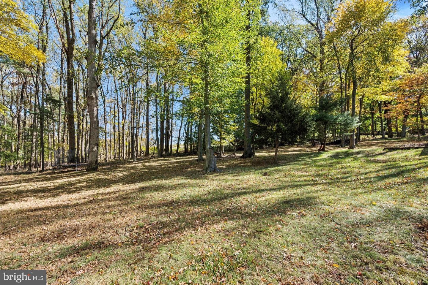 168 Lehigh Drive photo 2