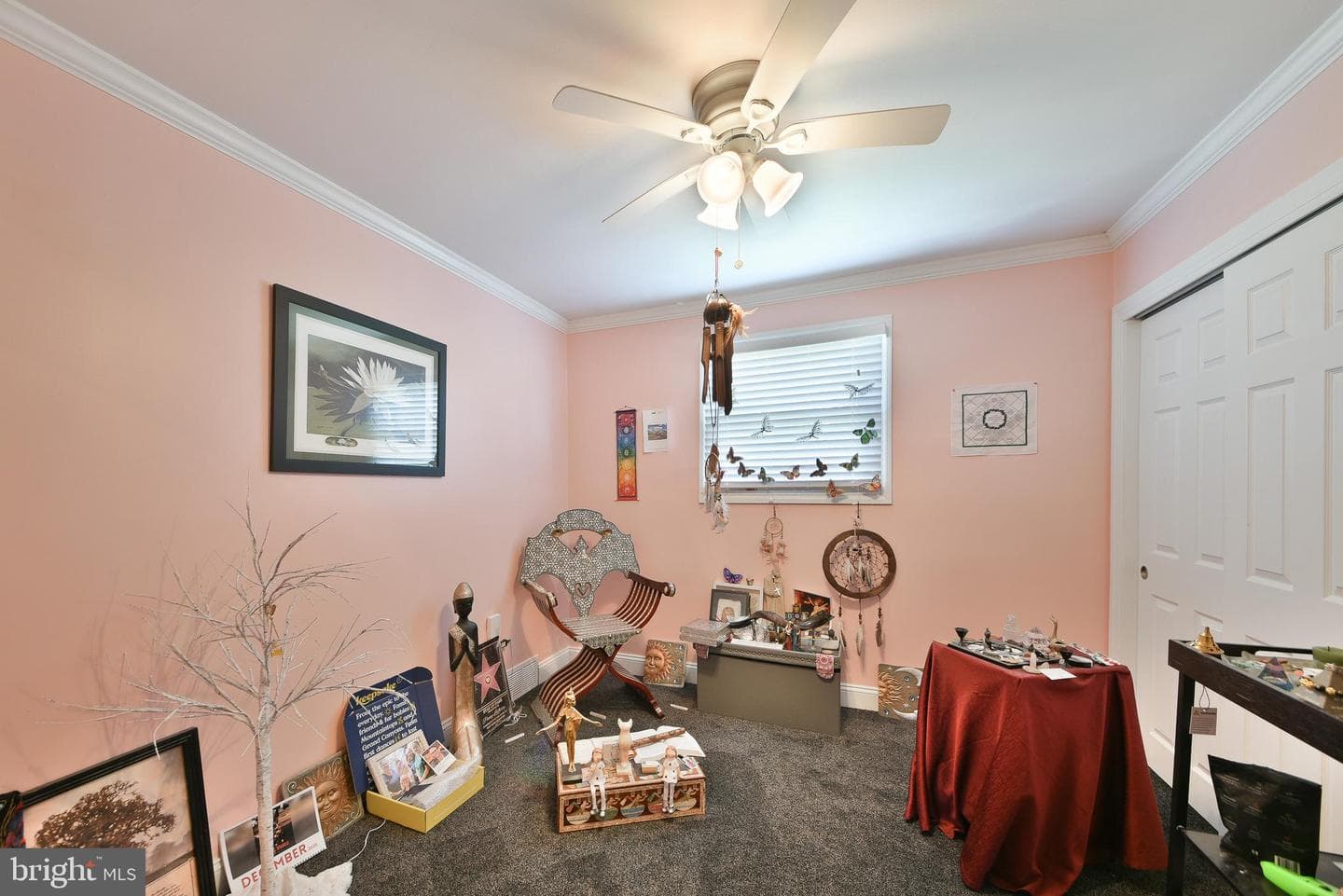 51 Lewis Street photo 16