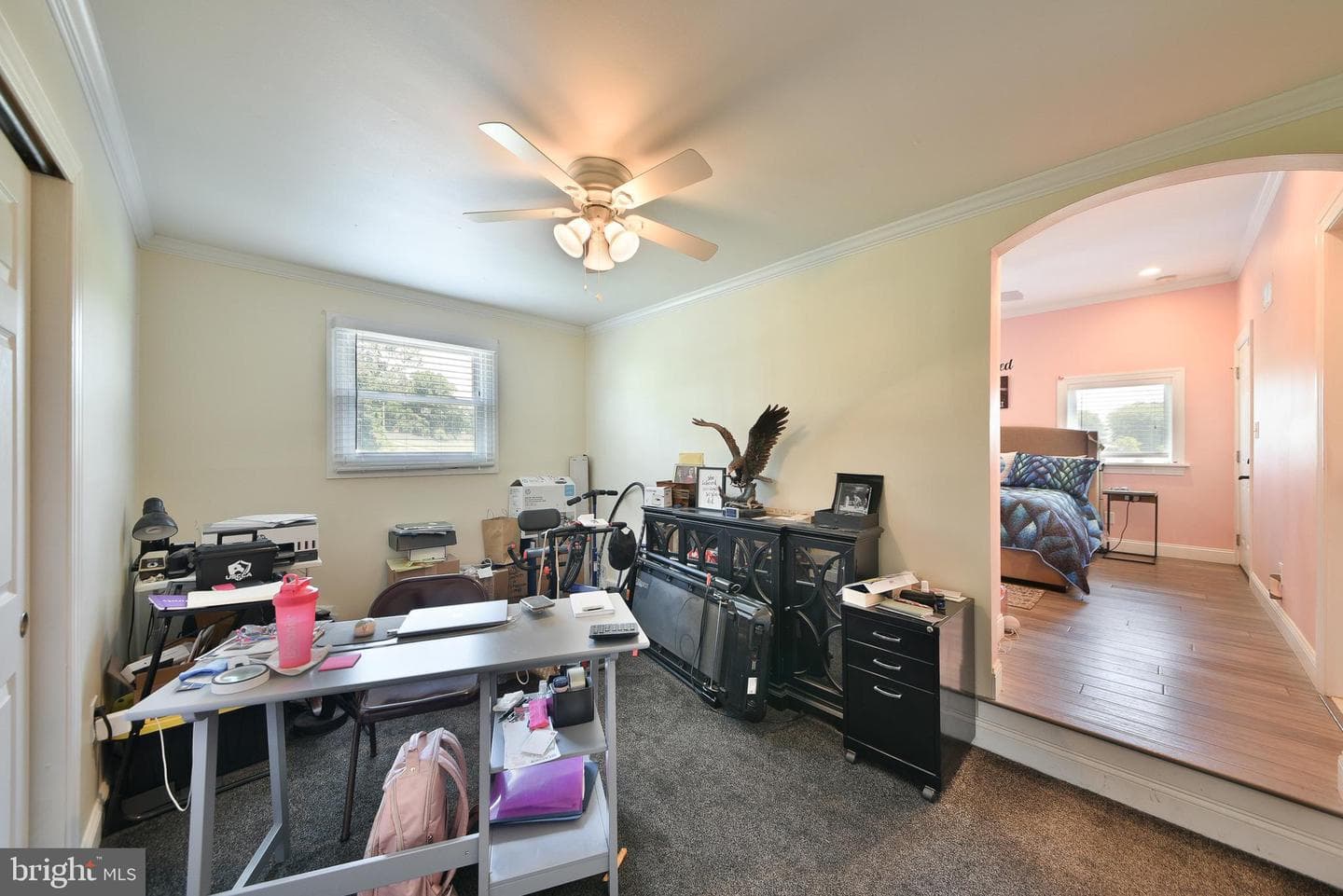 51 Lewis Street photo 18