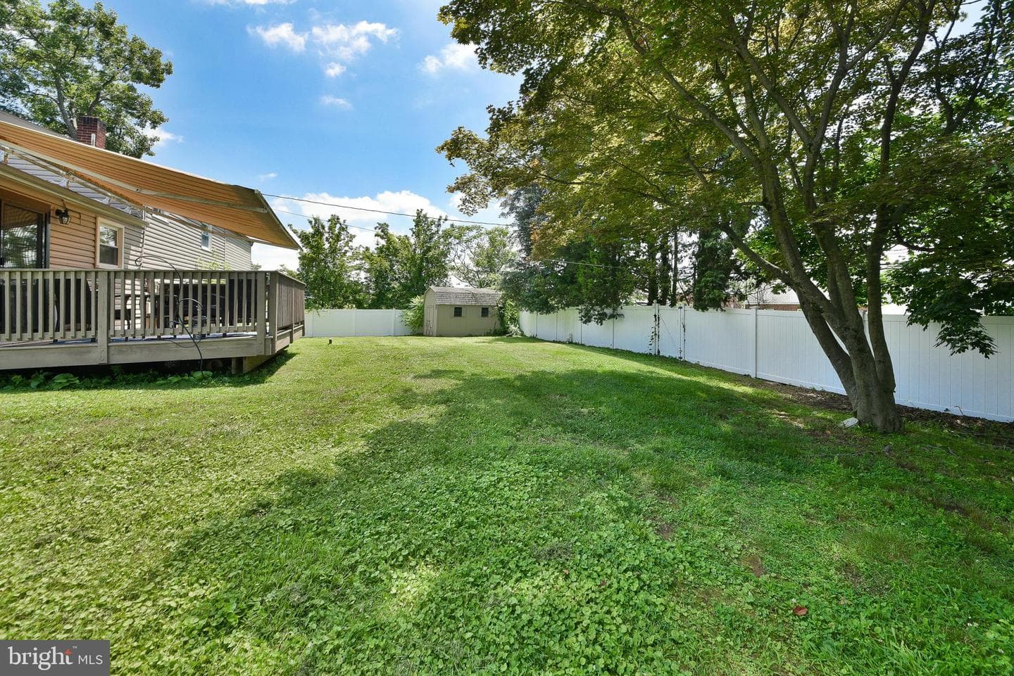 51 Lewis Street photo 32