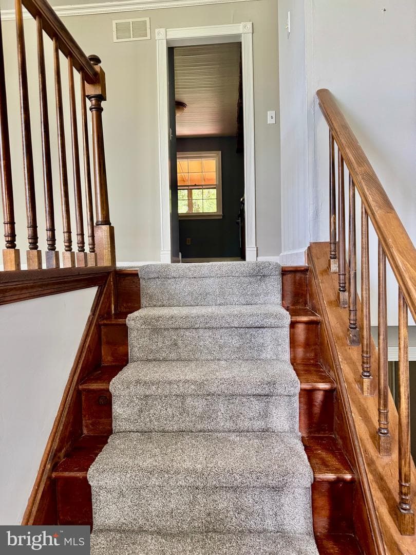 35 Beverly Drive photo 22