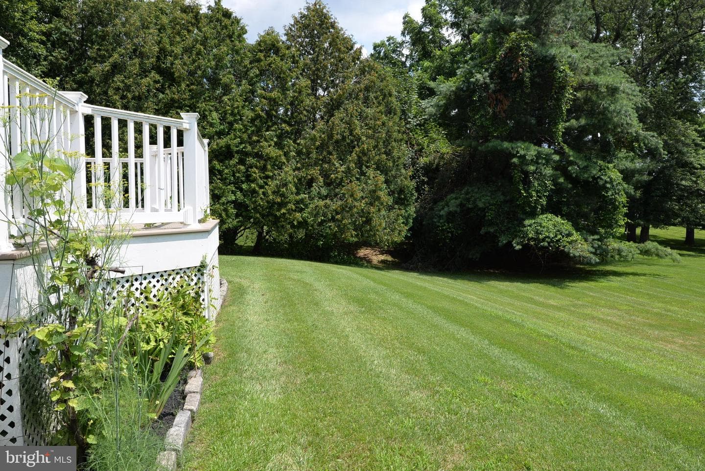67 Woodland Drive photo 18