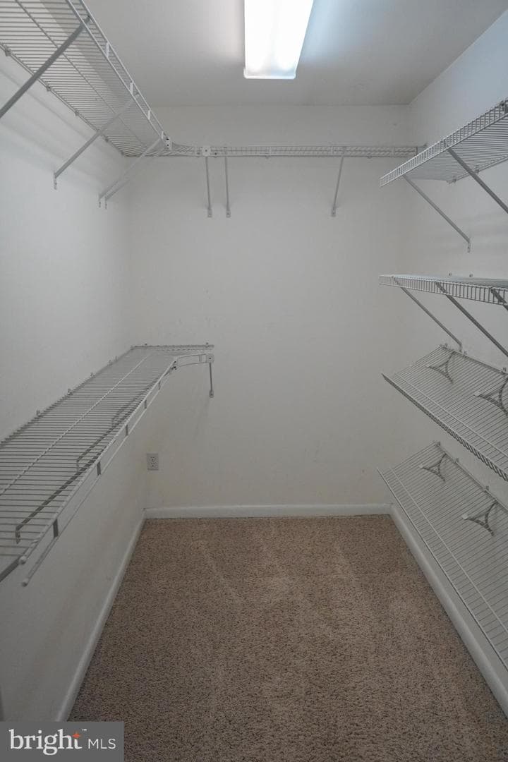 8 McCarthy Avenue photo 14