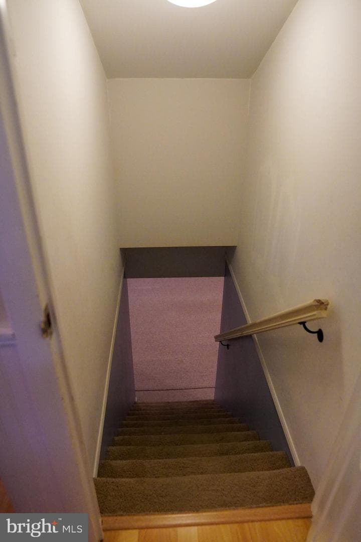 8 McCarthy Avenue photo 28