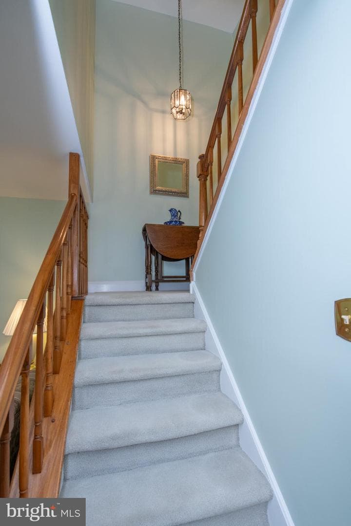 215 Rumford Court photo 23
