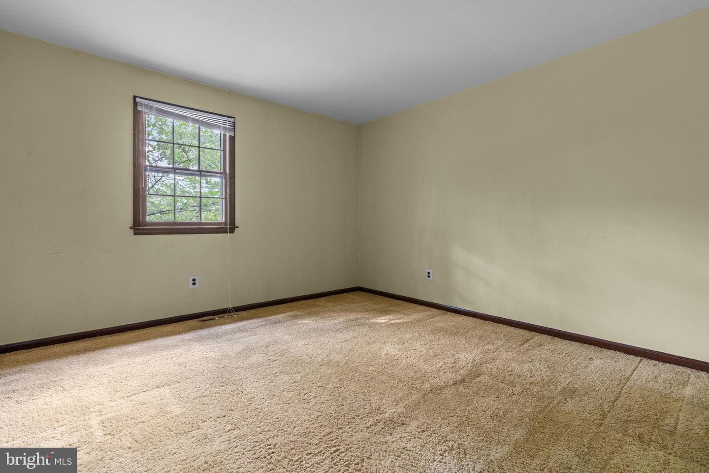 67 Harvest Road photo 24