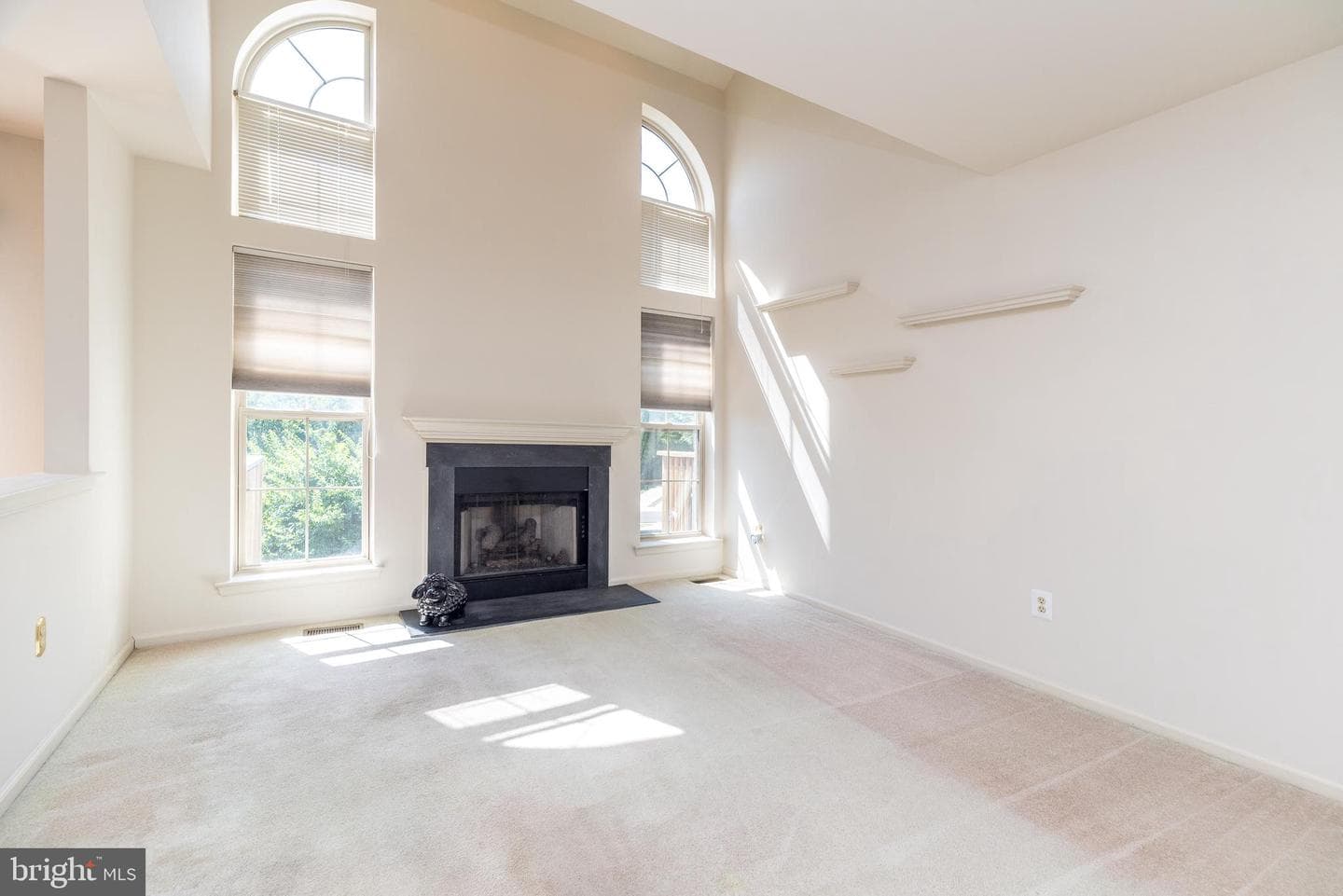 106 Larkspur Court photo 17