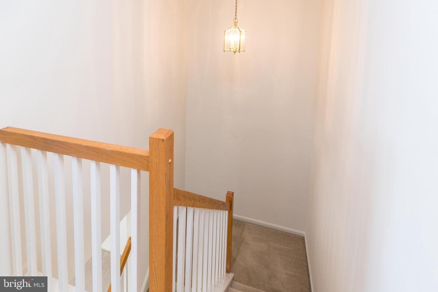 106 Larkspur Court photo 39