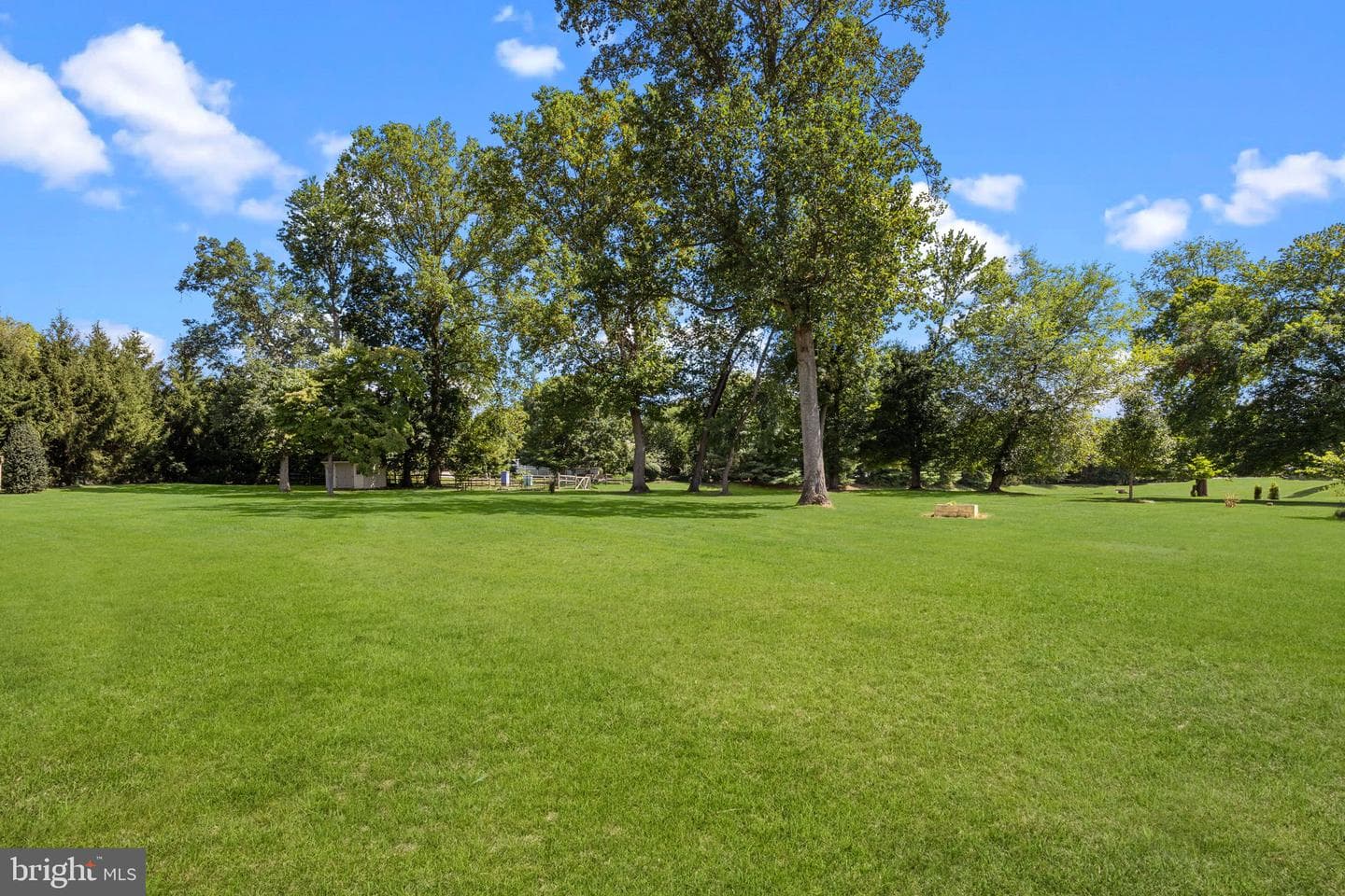 510 Pin Oak Drive photo 48