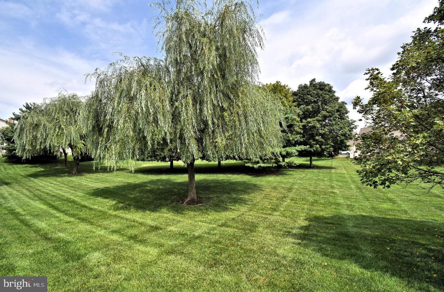 309 Shady Brook Drive photo 14