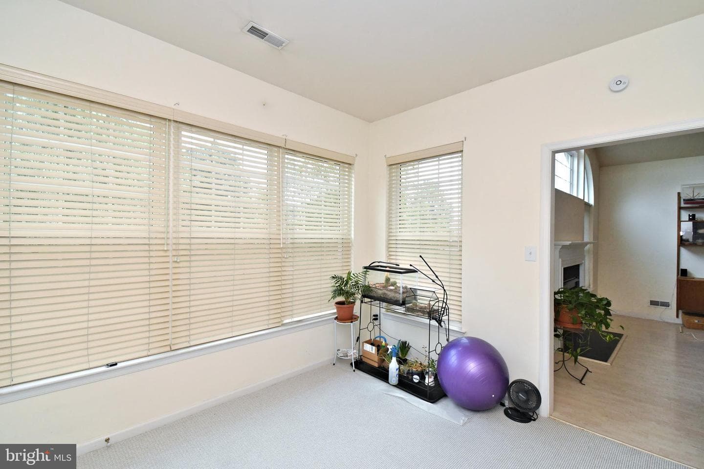 309 Shady Brook Drive photo 40