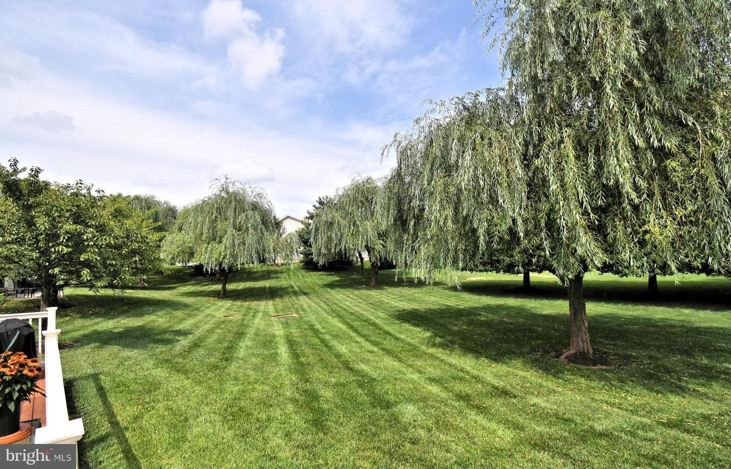 309 Shady Brook Drive photo 66