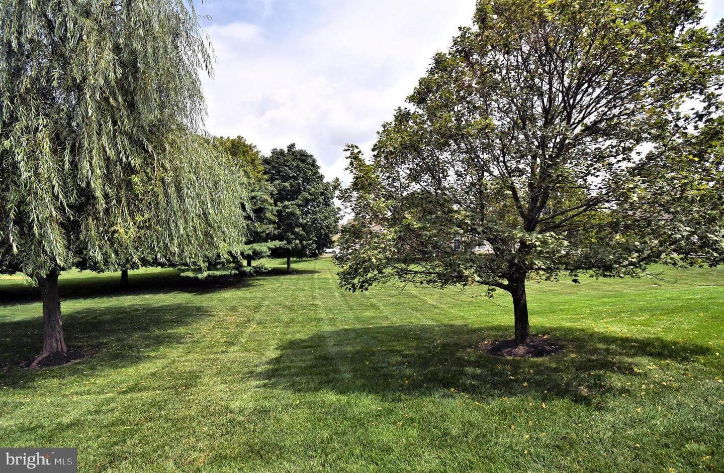 309 Shady Brook Drive photo 67