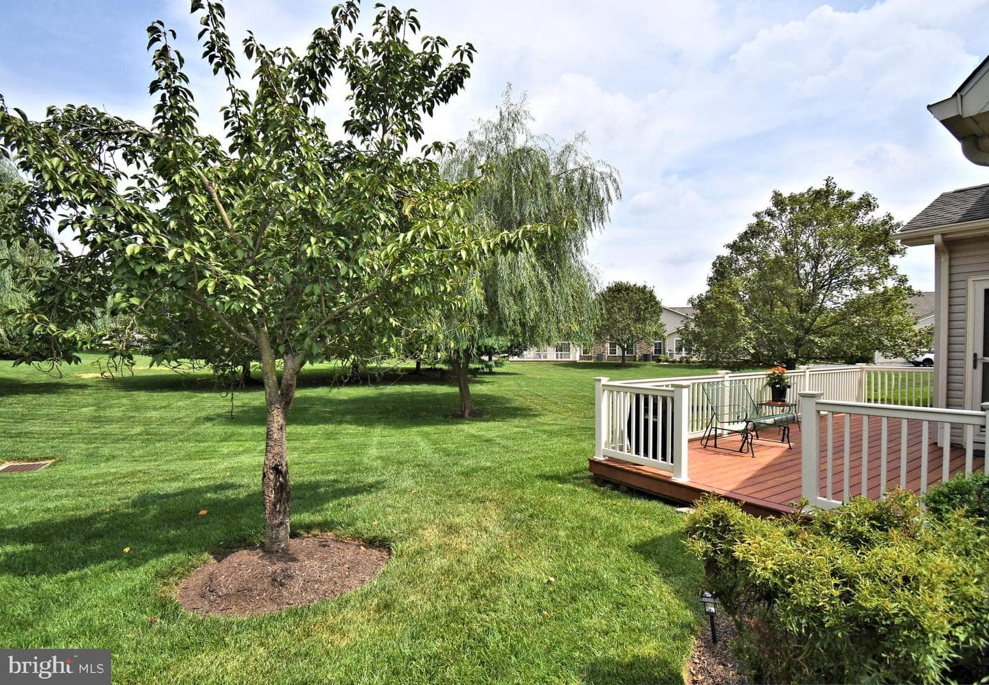 309 Shady Brook Drive photo 9