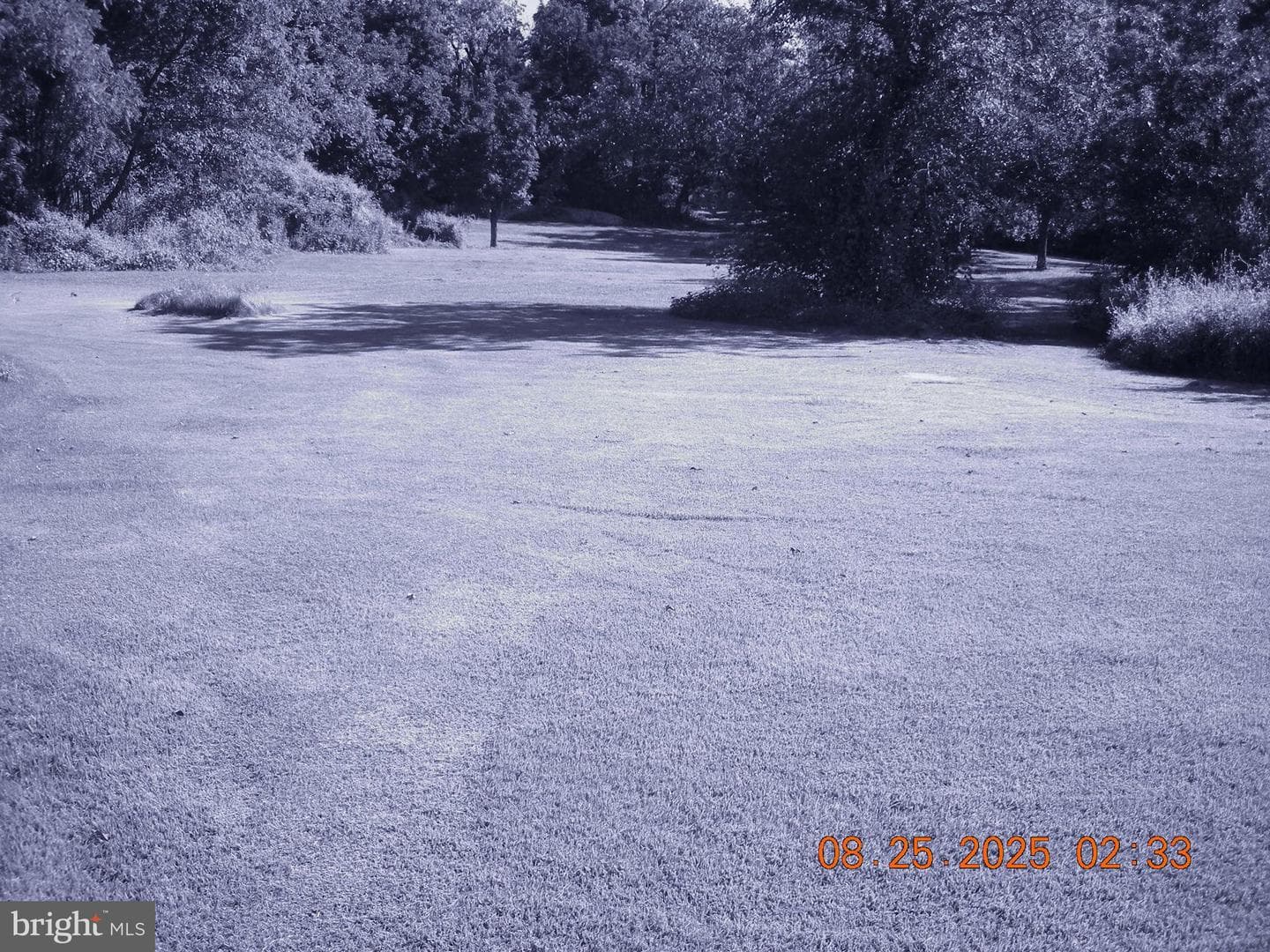 2065 Scheetzs Church Road photo 5