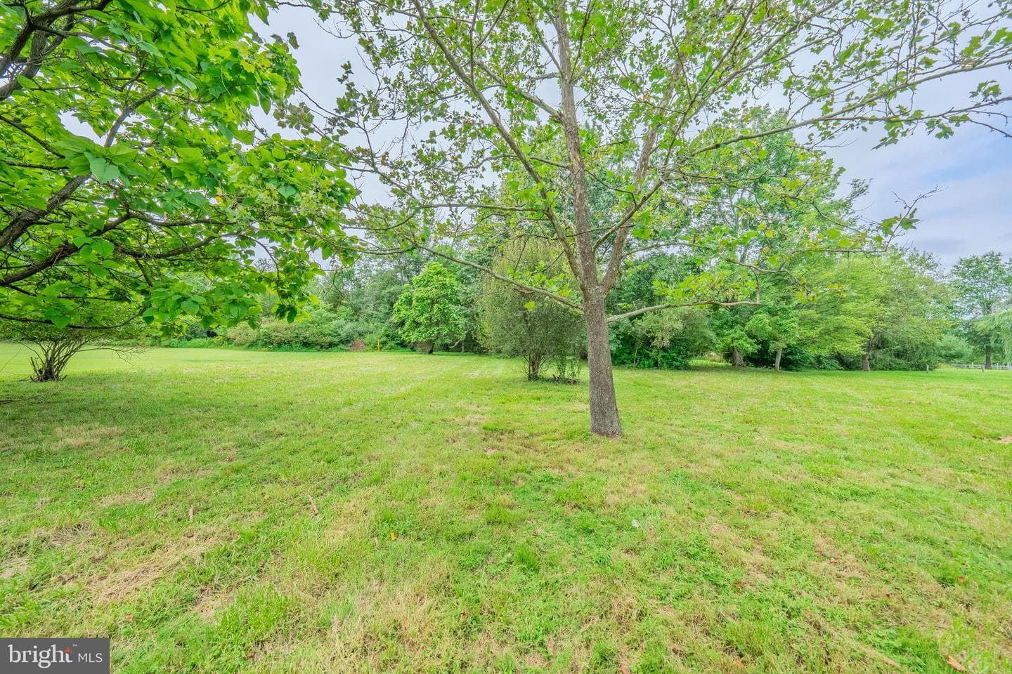 66 Rocky Ridge Road photo 32