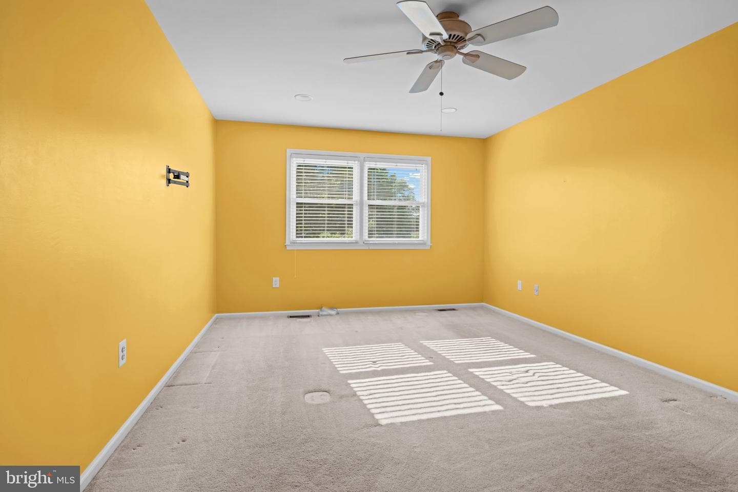 6 Springwood Place photo 24
