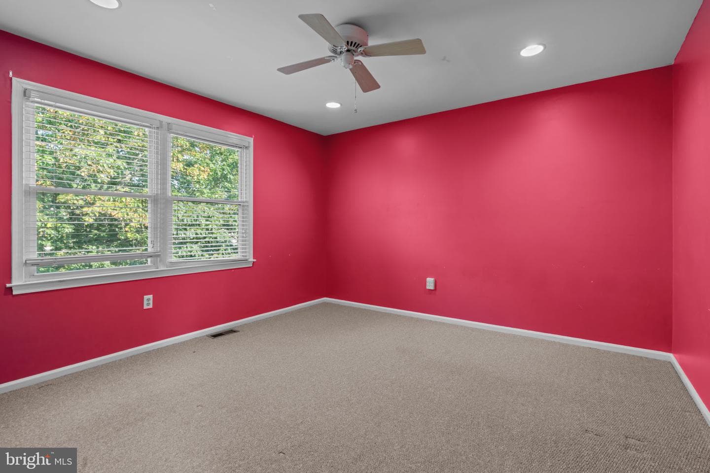 6 Springwood Place photo 30