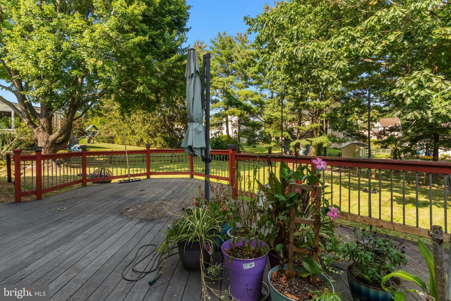 6 Springwood Place photo 39