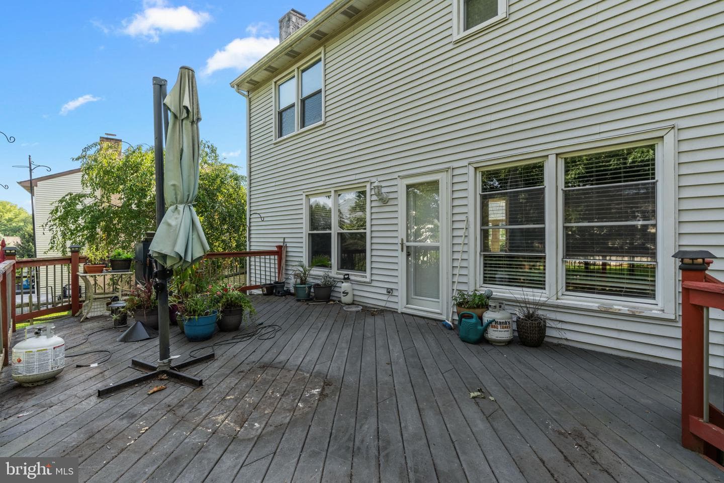 6 Springwood Place photo 40