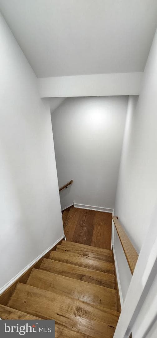 11b Fairview Avenue photo 51