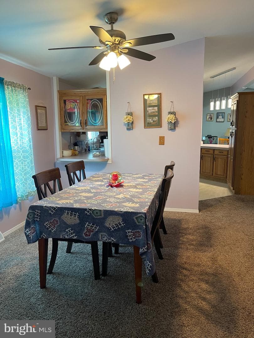 3406 Foxglove Drive photo 21