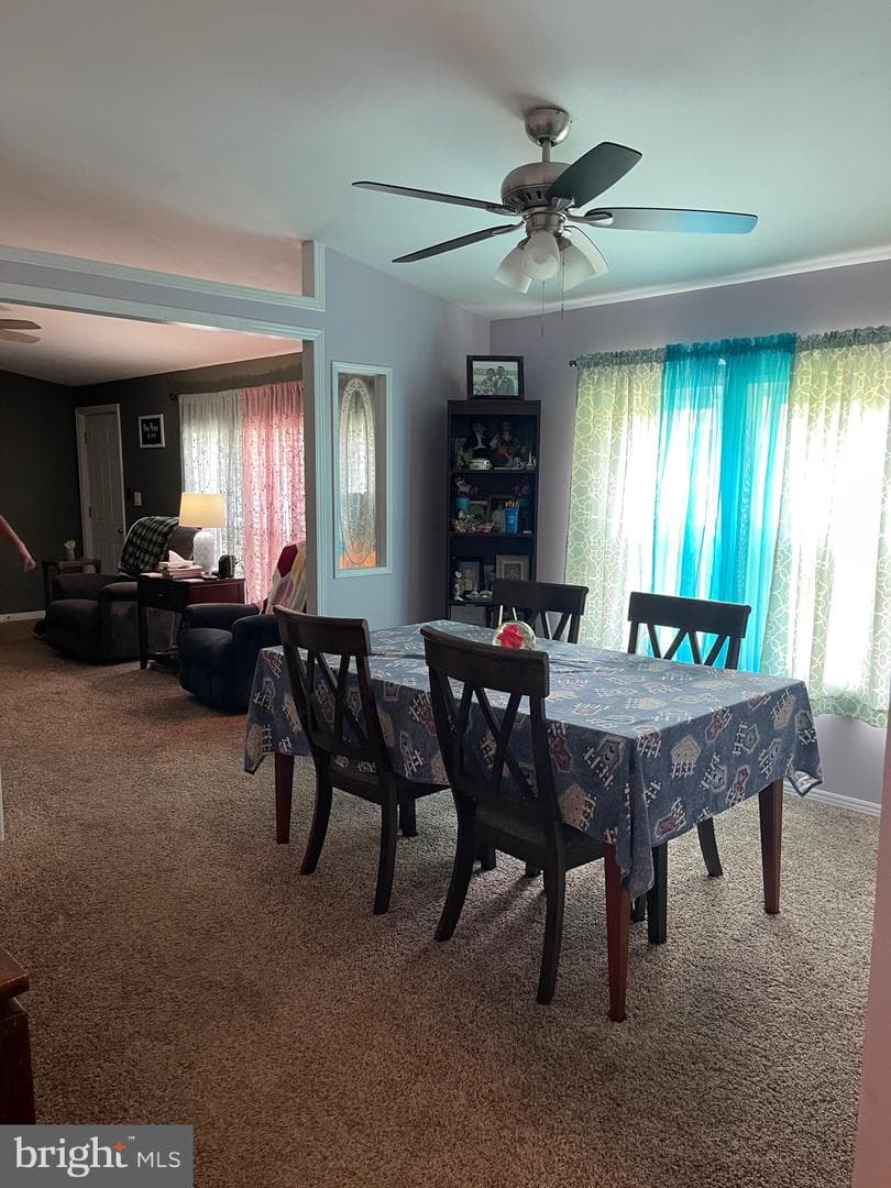 3406 Foxglove Drive photo 33