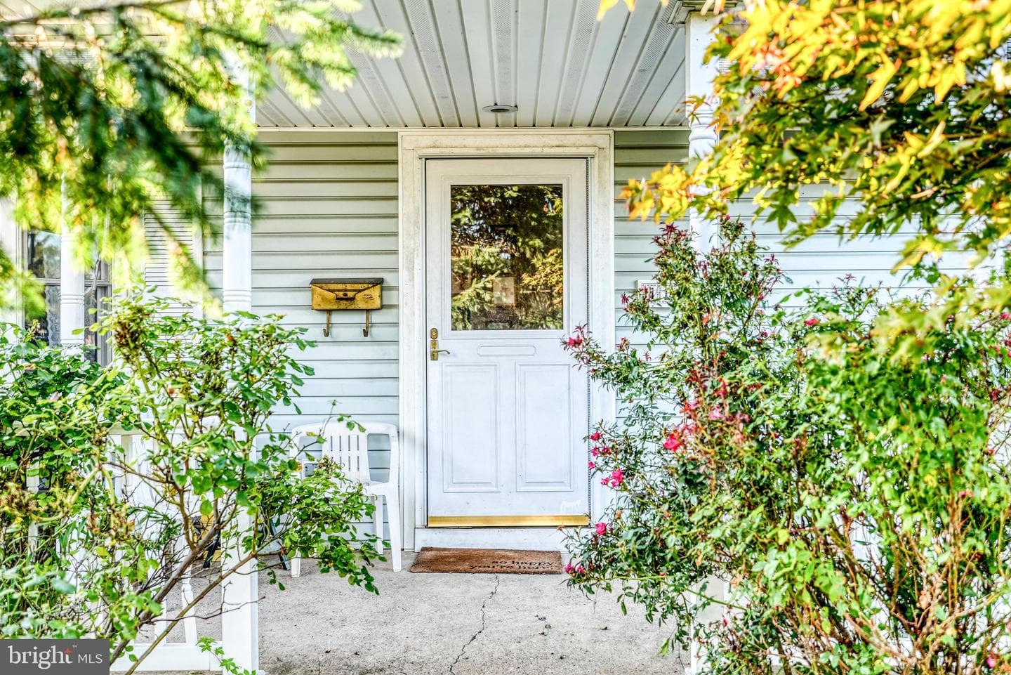 417 Chelsea Road photo 8