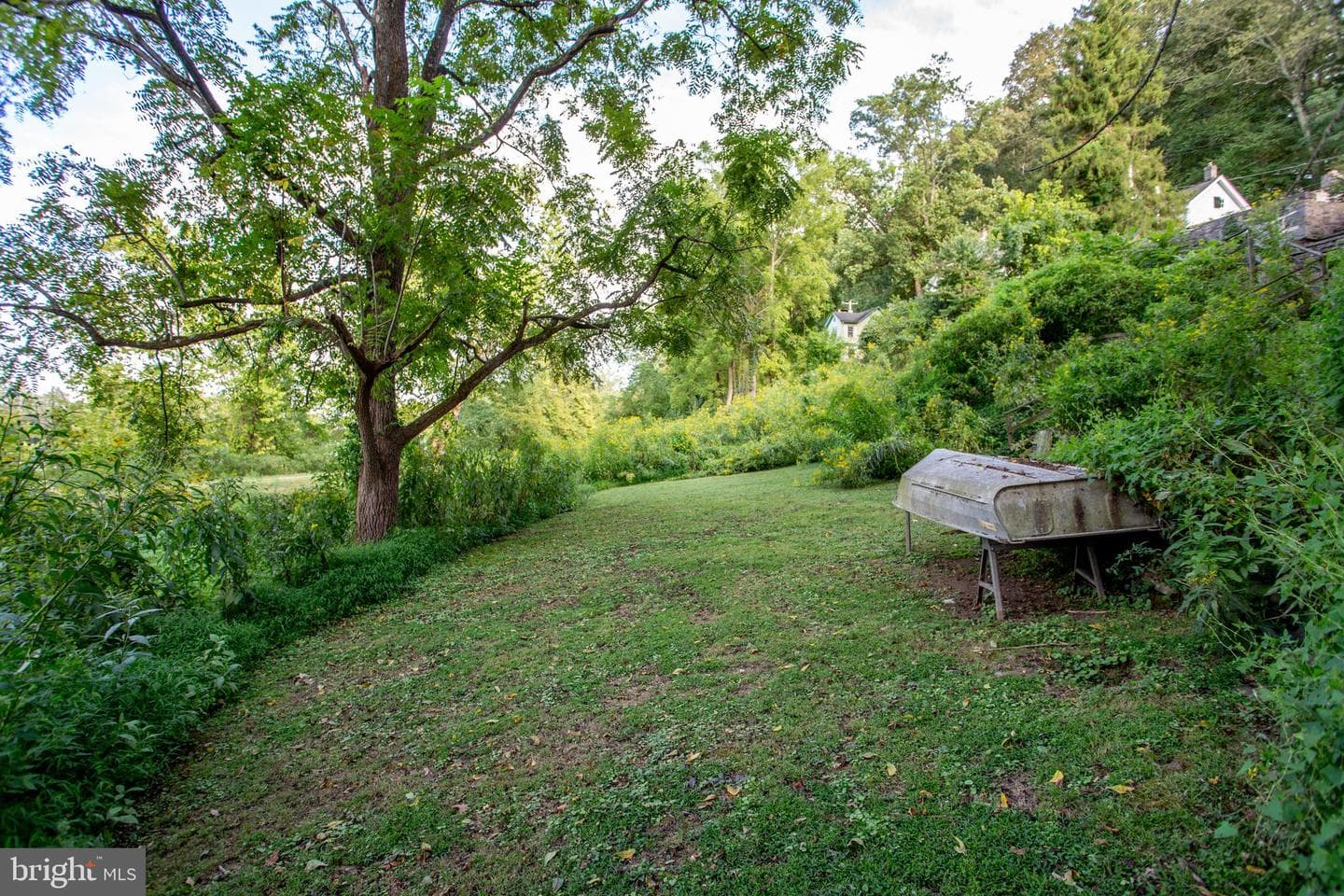 3596 River Road photo 44