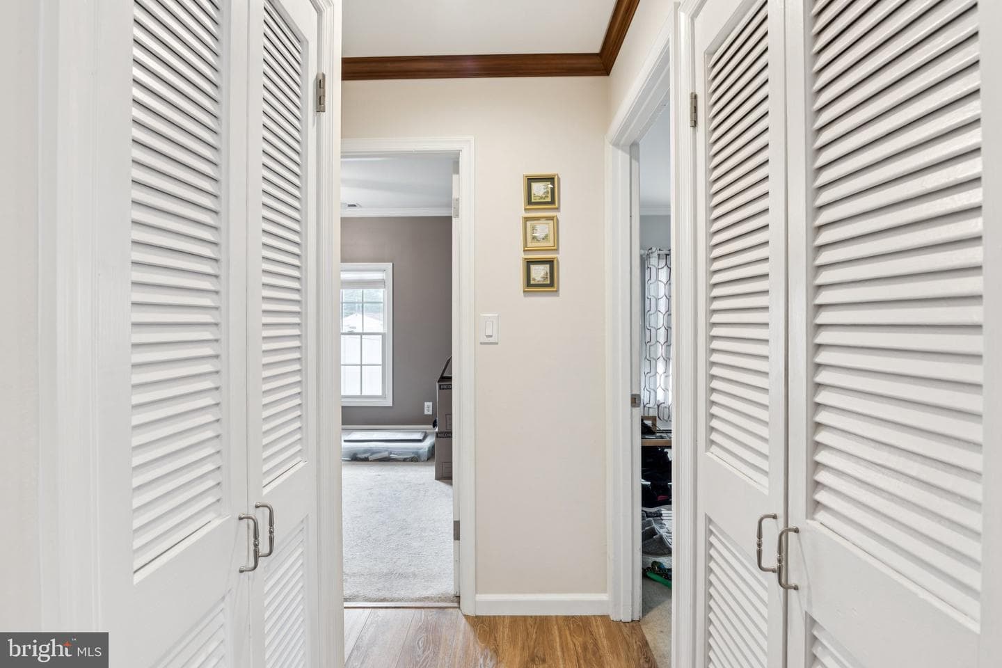 20 Trellis Road photo 17