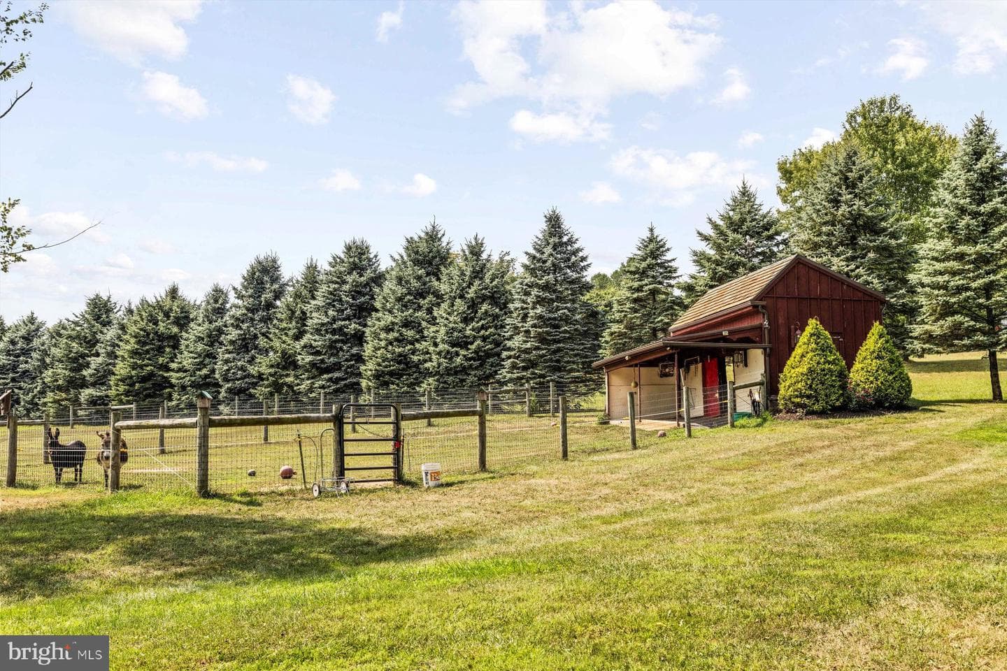 3791 Hunter Road photo 48