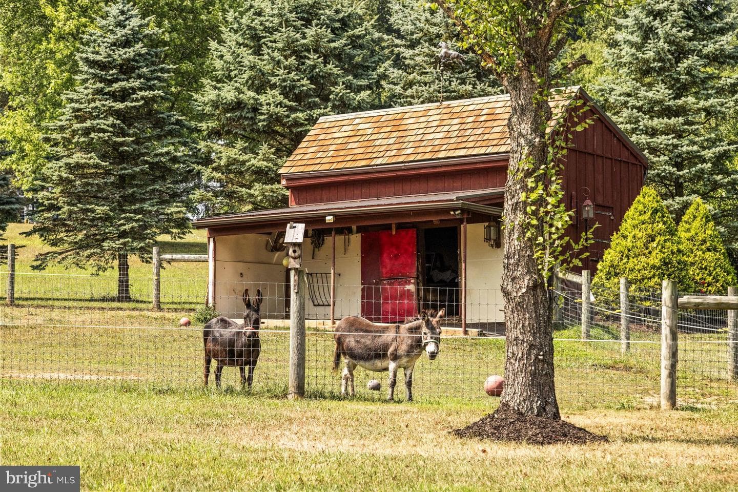 3791 Hunter Road photo 49