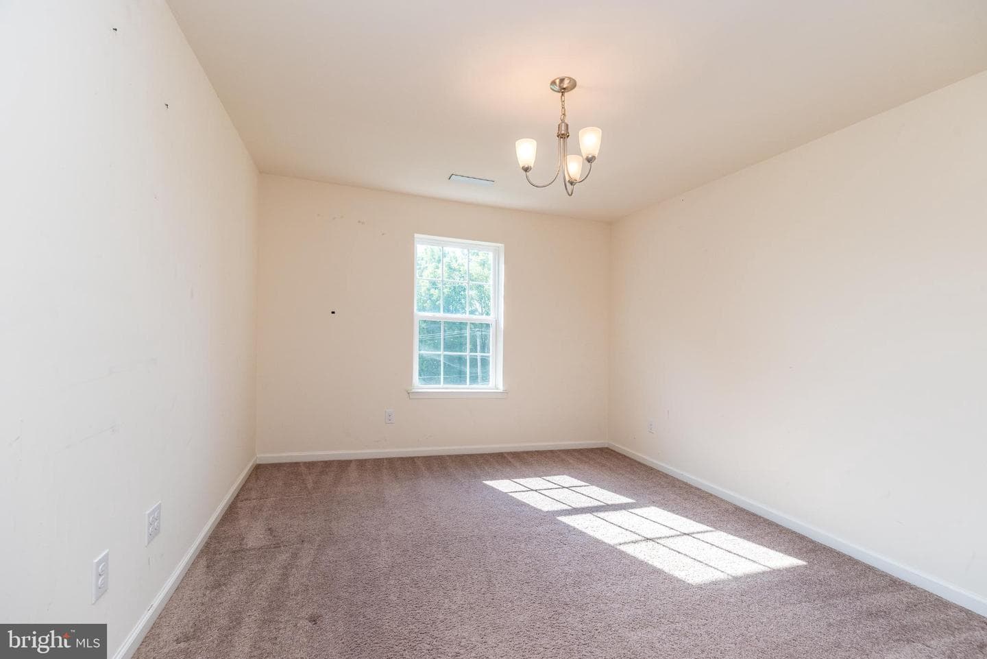 113 Carters Mill Road photo 20