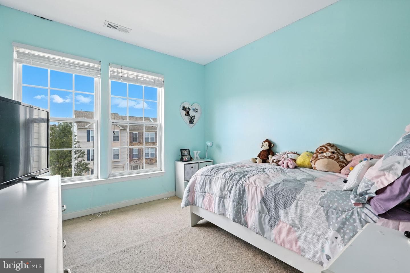 217 Windsor Court photo 22