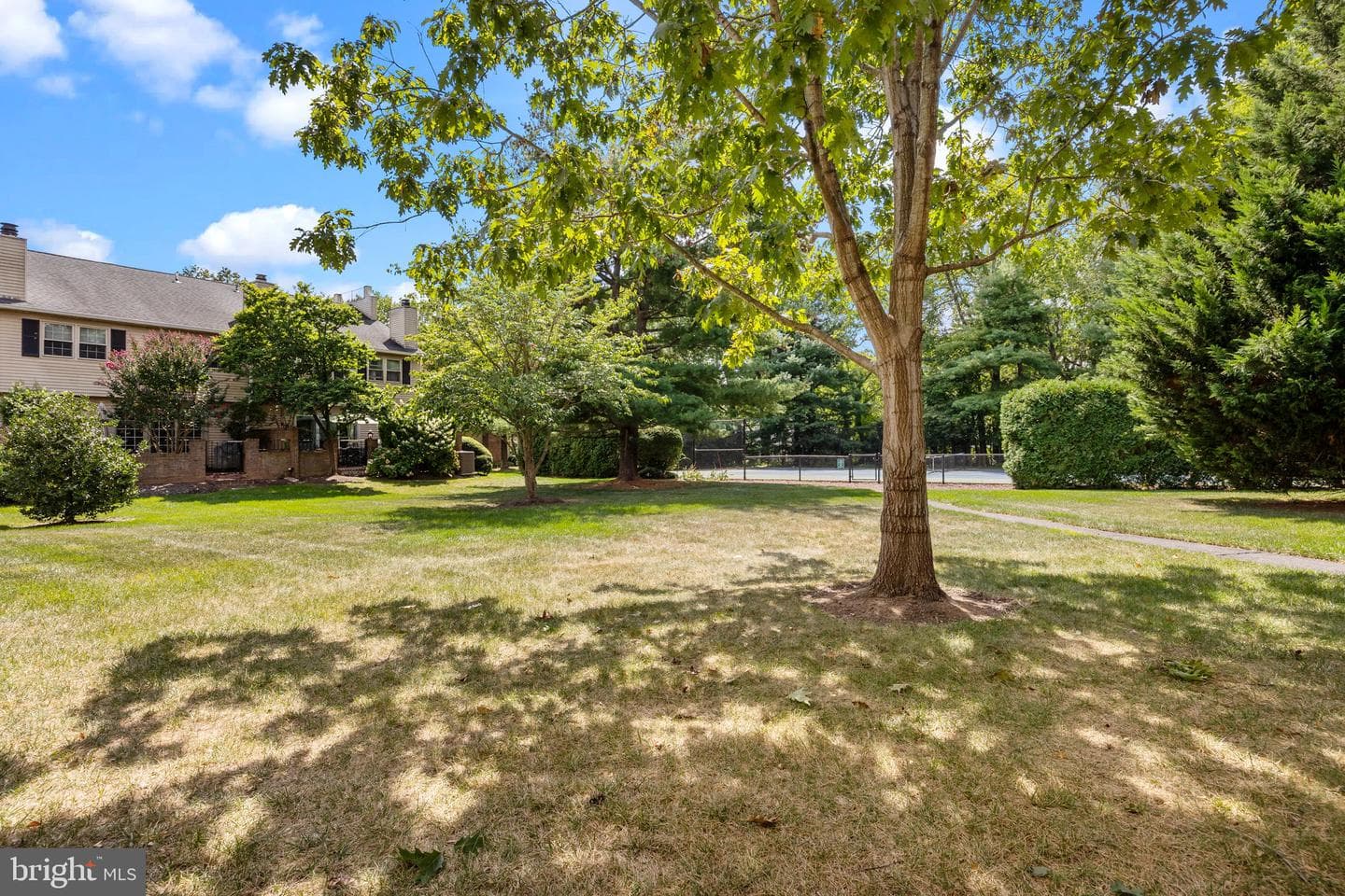 96 Sutphin Pines photo 42