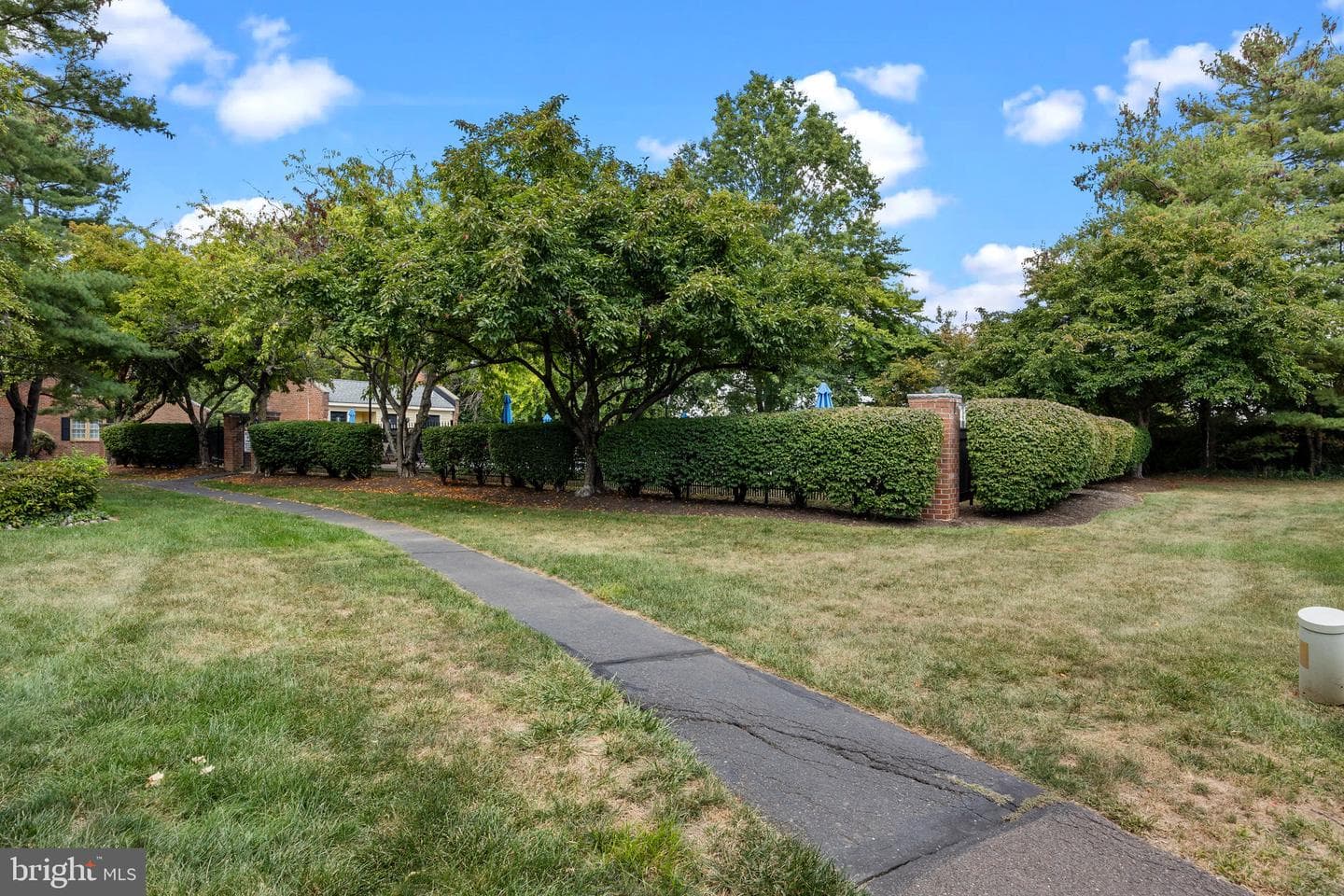 96 Sutphin Pines photo 45